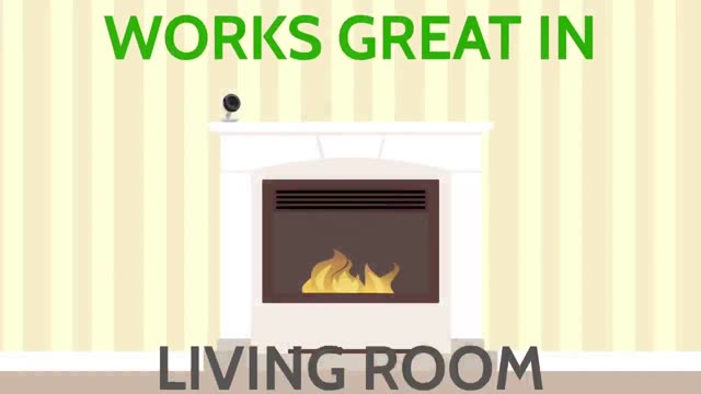 Indoor Cameras