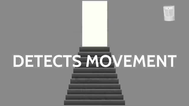 Motion Detector video poster